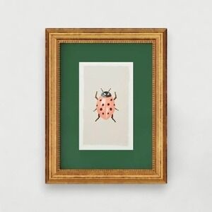 Rifle Paper Co x Target 11x14 Gold Foil Insect Poster Framed Wall Art Ladybug